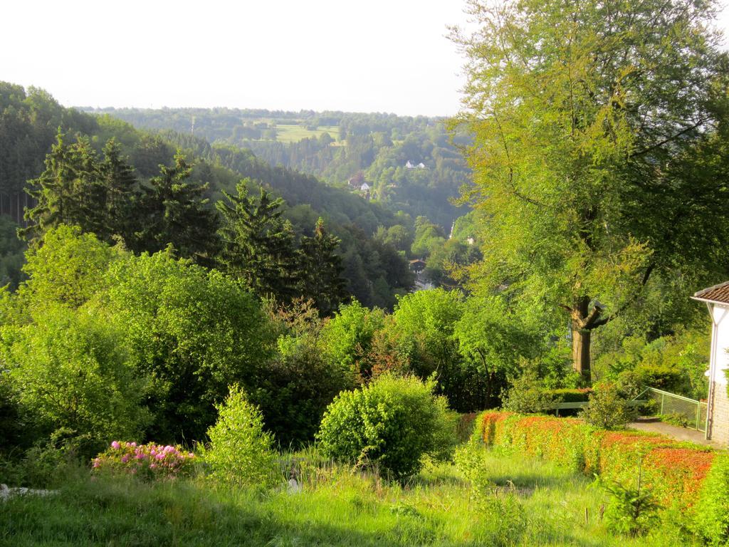 Het Groene Huis Monschau Exteriör bild