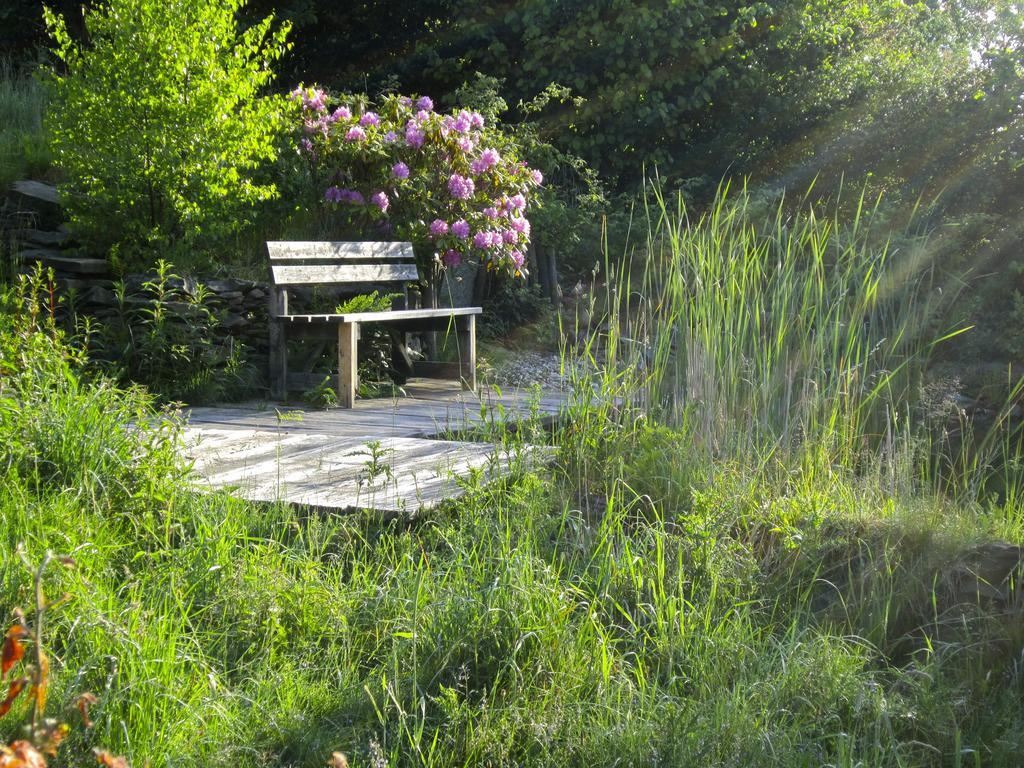 Het Groene Huis Monschau Exteriör bild